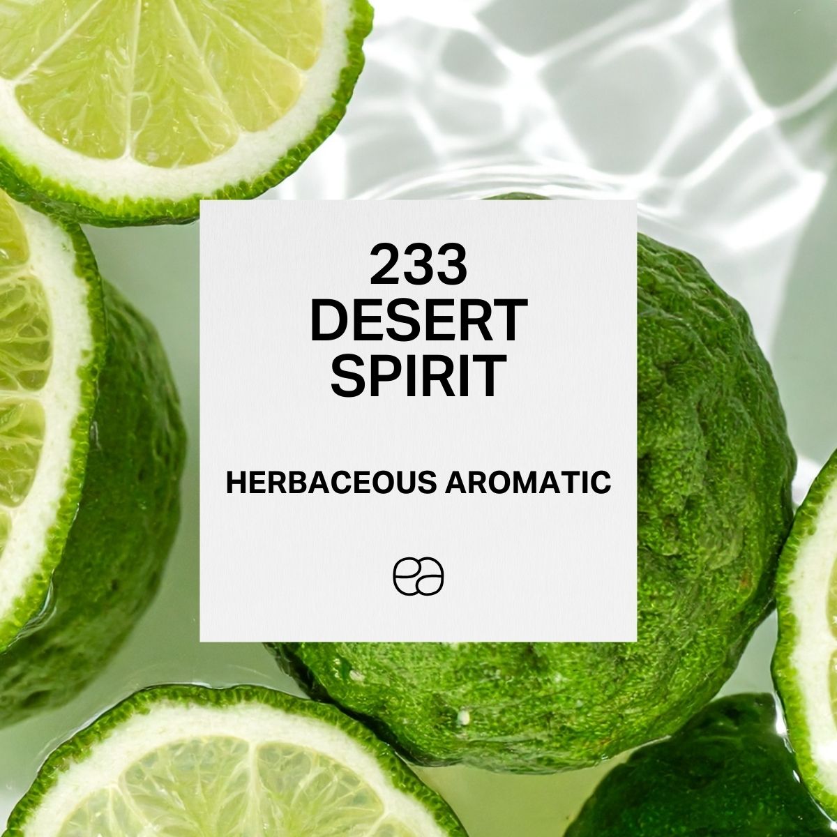 Desert Spirit